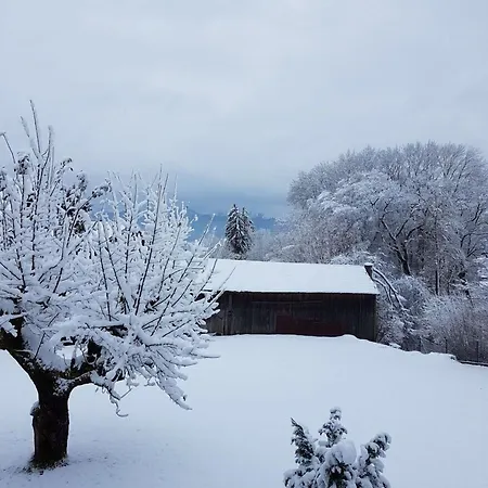 Zweite Heimat *
